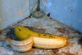 PARTIALLY PEELED BANANA ON A SHELF Royalty Free Stock Photo