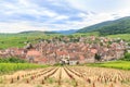 View of Riquewihr village in Alsace Royalty Free Stock Photo