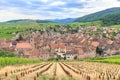 View of Riquewihr village in Alsace Royalty Free Stock Photo