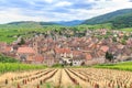 View of Riquewihr village in Alsace Royalty Free Stock Photo