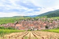 View of Riquewihr village in Alsace Royalty Free Stock Photo