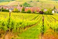 View of Riquewihr village in Alsace, France Royalty Free Stock Photo