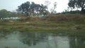 View of river and beautiful tree recruited in India