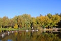 View river in Buki park, Kyiv region, Ukraine