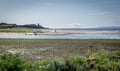 A view river doon estuary with canoeists and a photographer