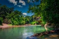 View on the river flowing in the middle of the jungle Royalty Free Stock Photo