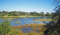 VIEW OF KAVANGO RIVER FLOWING BETWEEN CLUMPS OF GRASS Royalty Free Stock Photo