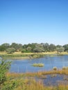 VIEW OF KAVANGO RIVER PUSHING OVER NORMAL BOUNDARIES Royalty Free Stock Photo