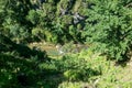 View of river in forest abbys in Vysoke Tatry Royalty Free Stock Photo