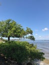 View of the river in Fort Myers, Florida, USA.