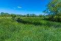 A view of the river Great Ouse meandering through the Ouse Valley Park at Wolverton, UK