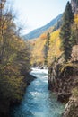 View of the river in the mountains in the middle of autumn trees. Autumn high in the mountains Royalty Free Stock Photo