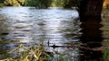 View of the river with natural waves and reflection