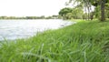 View of river in the public park