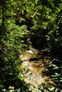 View of the river in rain forest.El Nicho Waterfalls, Cuba Royalty Free Stock Photo