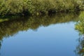 View of the river, surrounded by greenery, reflected in the water.