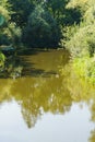 View of the river, surrounded by greenery, reflected in the water.