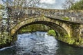 A view of the River Syfynwy flowing under the large arch of the Gelli bridge, Wales