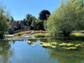 A view of the River Teme in Ludlow