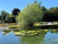 A view of the River Teme in Ludlow