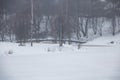 View of the river under the snow in winter Royalty Free Stock Photo