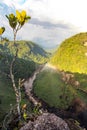 A view of the river valley, East Berbice, downstream of Kaieteur falls, Guyana.