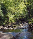 the river and valley at lumb hole falls in woodland at crimsworth dean near pecket well in calderdale west yorkshire Royalty Free Stock Photo