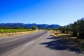 View on road curve on mountain range against blue sky lined by olive trees orchard and vines from vineyard - Provence, France Royalty Free Stock Photo