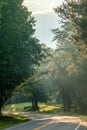 view of a road in forest early morning with some fog Royalty Free Stock Photo