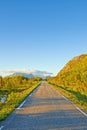 View of a road and green vegetation leading to an idyllic secluded area in summer. Big green trees surrounding an empty