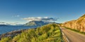 View of a road and green vegetation leading to an idyllic secluded area in summer. Big green trees surrounding an empty Royalty Free Stock Photo