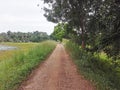 A view of a road near a lake in a rural setting in Sri Lanka in the evening. A green vision.