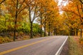View of road with oak trees alley at autumn Royalty Free Stock Photo