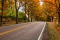 View of road with oak trees alley at autumn Royalty Free Stock Photo