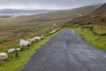 Wild Atlantic Way on Achill Island in Ireland Royalty Free Stock Photo