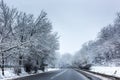 View of road in winter forest. Nyiregyhaza Hungary