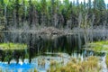 A view from the roadside. Riding Mountain National Park Manitoba Canada