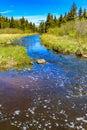 A view from the roadside. Riding Mountain National Park Manitoba Canada