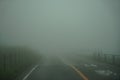 View of roadway and fence full of white fog while driving through local road on rainy and bad weather day on mount Aso area