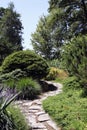 A view of the rock garden with perennials