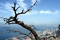 View from the rock on the port of Gibraltar Royalty Free Stock Photo