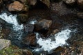 View of rocks near flowing brook in forest Royalty Free Stock Photo