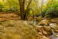 Rocks, trees, stream and fall foliage, Amud Stream Nature Reserve