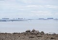 View from the rocky beach to the many cargo ships