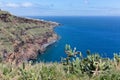 View at rocky coast of Madeira with cactuses Royalty Free Stock Photo