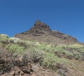 View of rocky mountain peak at Barranco de Guigui Grande. Arid subtropical landscape of ravine with cacti and succulent