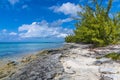 A view of a rocky shoreline on a deserted beach on the island of Eleuthera, Bahamas