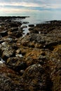 View of Rocky Shoreline and Tide Pools in Maine Royalty Free Stock Photo