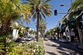 View of Rodeo Drive in Los Angeles