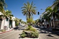 View of Rodeo Drive in Los Angeles